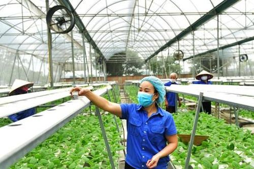 Gỡ 'nút thắt' trong phát triển nông nghiệp