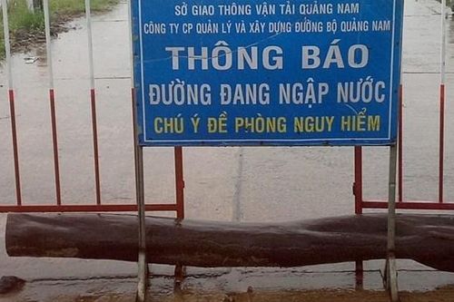 Quảng Nam: Mưa lớn nhiều đoạn đường bị ngập sâu cục bộ