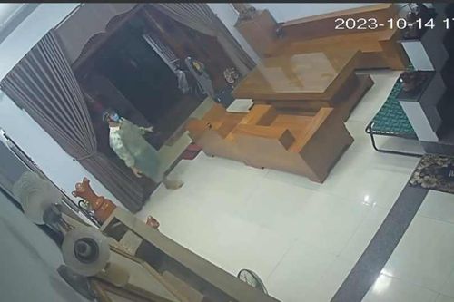 Đạo chích 'nghiêm túc', sợ mưa nhưng thích … Quan Vân Trường!