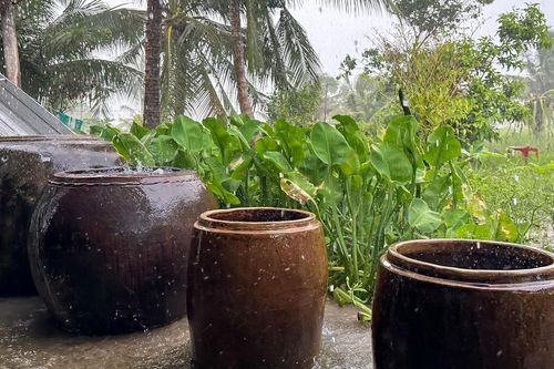 Cái lu, cái khạp