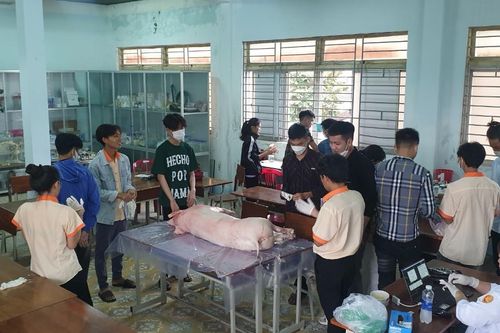 Tìm việc làm cho sinh viên ngành hẹp