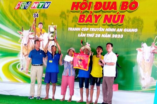Kịch tính, hấp dẫn Hội đua bò Bảy Núi An Giang