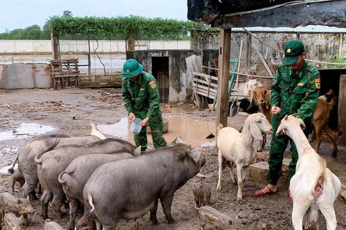 Tăng gia sản xuất để 'nuôi quân khỏe, huấn luyện giỏi'