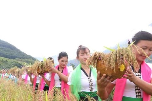 Đặc sắc Lễ hội cốm mới, huyền bí nghi thức rước 'hồn lúa'