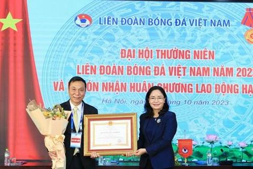 Những thành tích giúp VFF được tặng thưởng Huân chương Lao động hạng Ba