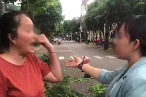 Tát nữ nhân viên công ty môi trường, bị phạt 6,5 triệu đồng