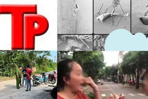 Bản tin Hình sự: Tin mới vụ Á khôi trẻ bị bạn trai giết hại rồi phân xác dã man