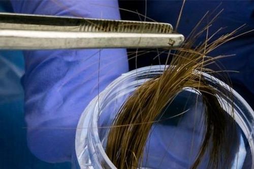 Chồng chung thủy nhưng 'có con rơi', bí mật gợi mở sau kết quả xét nghiệm ADN