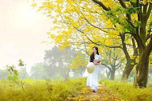 Vạt nắng chiều thu