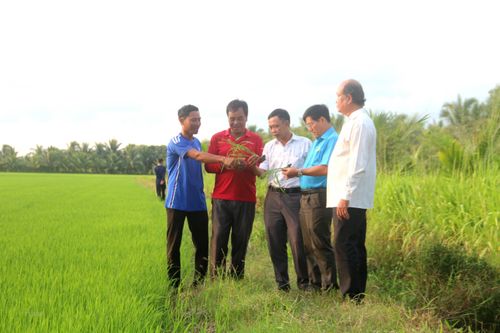 Truyền cảm hứng làm giàu cho những người nông dân Khmer ở Trà Vinh