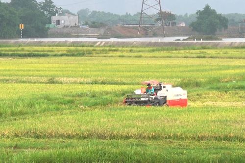 Ninh Bình xây dựng nông thôn mới - Bài 1: Liên kết sản xuất tăng nguồn nội lực
