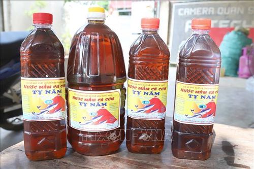 Đánh thức làng nghề nước mắm truyền thống ở xã bãi ngang Diễn Bích