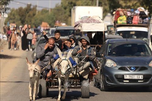 Xung đột Hamas - Israel: Mỹ, Australia và Đức bố trí phương án sơ tán công dân