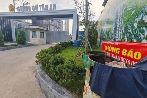 Bình Dương: Một công ty vận chuyển trái phép phép đất ra khỏi dự án nhà ở