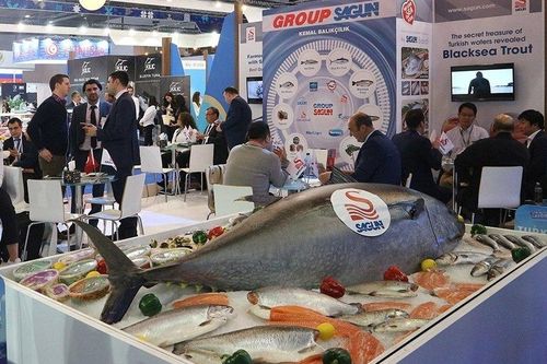 'Gánh nặng' giá vốn kéo lùi lợi nhuận của Thủy sản Mekong