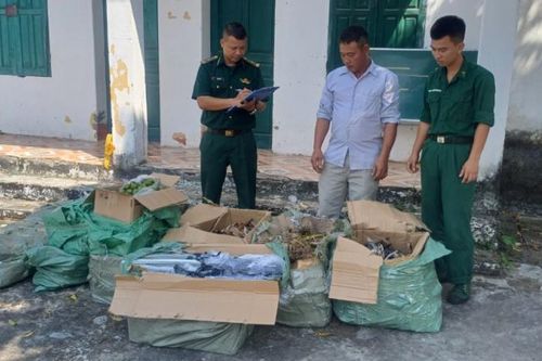 Bắt giữ đối tượng vận chuyển hàng hóa trái phép ở biên giới Quảng Ninh