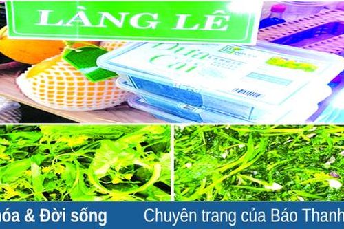 Làng Lê Xá và giống cải Lê nức tiếng