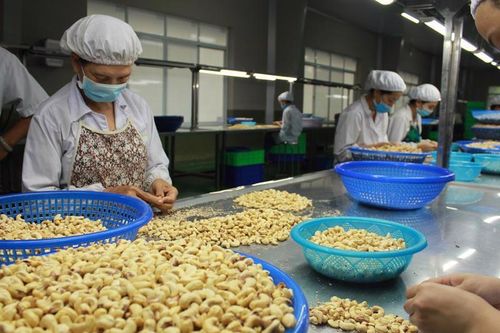Doanh nghiệp hồ tiêu, điều bị lừa đảo tại Dubai được hoàn trả gần 355.000 USD