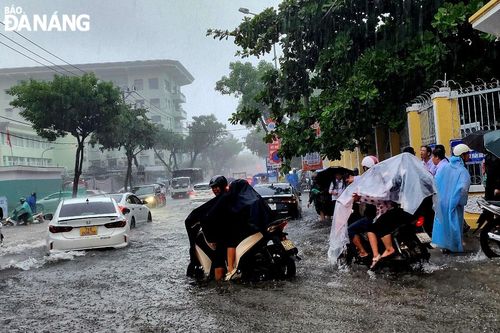 Học sinh Đà Nẵng được nghỉ học ngày 16-10