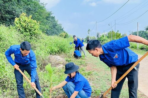 Khơi dậy tinh thần tình nguyện của thanh niên