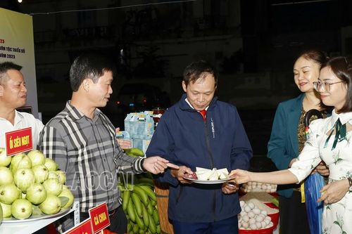 Nhộn nhịp phiên chợ thúc đẩy tiêu thụ sản phẩm vùng dân tộc thiểu số và miền núi