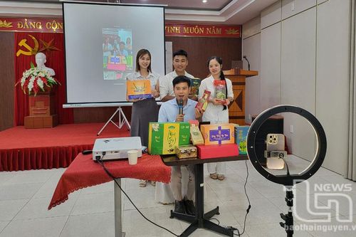 Nâng cao năng lực vận hành thương mại điện tử cho các hợp tác xã