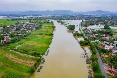 Đội mưa chăm cá lồng ngày lũ