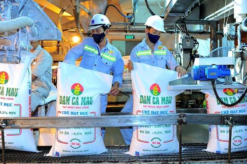 Đạm Cà Mau (DCM): Doanh thu quý 3 ước đạt 9.500 tỷ, lãi ròng năm 2024 có thể tăng 61%