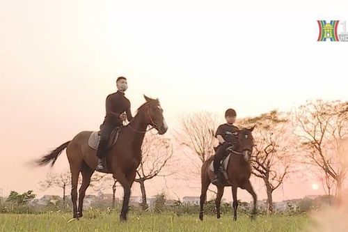 Khám phá môn thể thao cưỡi ngựa tại Hà Nội