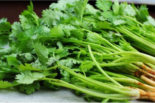 4 công dụng vàng thuyết phục bạn nên uống nước rau mùi thường xuyên