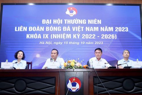 VFF vượt kế hoạch doanh thu năm 2023