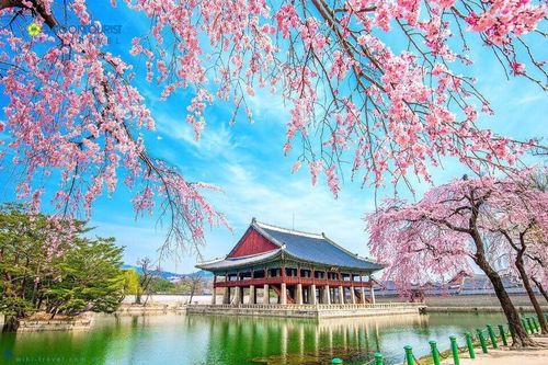 Đi du lịch Hàn Quốc cần chuẩn bị gì?