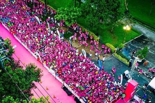 Hơn 6.000 VĐV tranh tài tại Marathon Đất Sen hồng - Đồng Tháp 2023