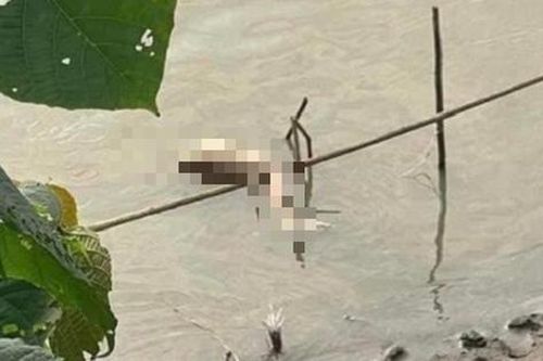 Công an Hà Nội thông tin chính thức vụ cô gái bị giết, phân xác và phi tang xuống sông Hồng