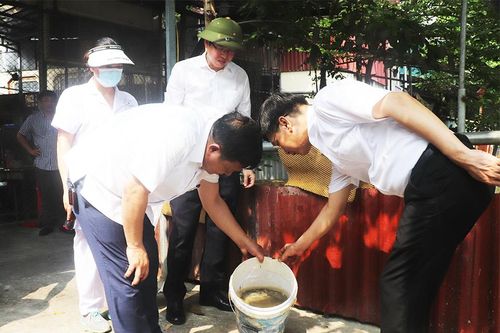 Quận Hà Đông ghi nhận số ca mắc sốt xuất huyết cao nhất trong tuần