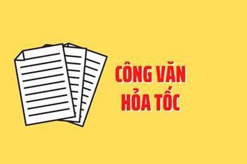 Hỏa tốc... đừng chậm như rùa!