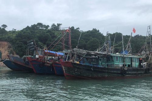 Bắt giữ 5 tàu khai thác thủy sản trái phép