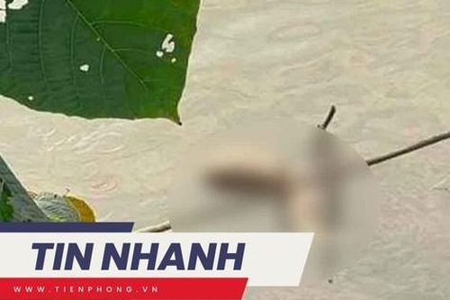 TIN NHANH: Lời kể của người phát hiện thi thể á khôi ở sông Hồng; Diễn biến mới vụ 2 mẹ con tử vong sau uống sữa