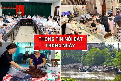 Nghệ An: Thông tin nổi bật ngày 16/10