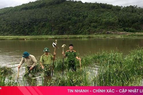 Hà Tĩnh quyết liệt xử lý nạn săn bắt, buôn bán chim trời