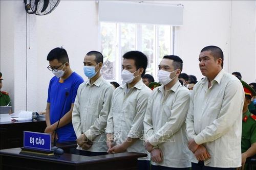 Xét xử vụ án bán đất 'trên giấy', chiếm đoạt hơn 162 tỷ đồng