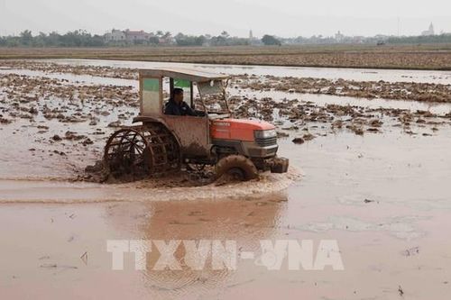 Ngày Lương Thực thế giới: Tài nguyên nước - nền tảng của sản xuất lương thực