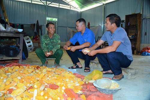 Đồng lòng, dốc sức cho chiến dịch 'thần tốc' (4)