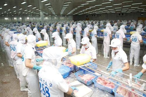 Triển khai các giải pháp hướng đến xuất khẩu thủy sản bền vững
