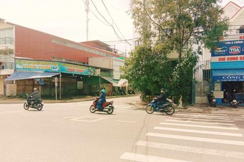 Biển báo bị cây xanh che khuất