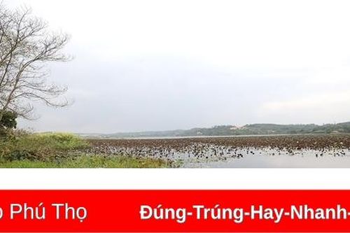 Chuyện săn giải đầm Bạch Thủy