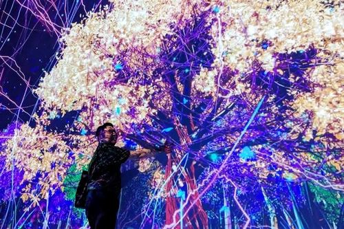 'Bảo tàng kỹ thuật số' đầu tiên ở Việt Nam đón khách từ 20/10