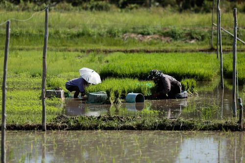 Nước – chìa khóa bảo đảm an ninh lương thực