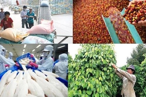 Chia sẻ cơ hội phát triển