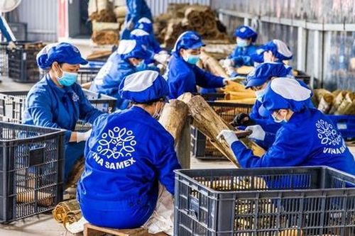 Doanh nghiệp xanh đem sản phẩm 'made by Việt Nam' ra thế giới, đem về doanh thu hàng chục triệu USD